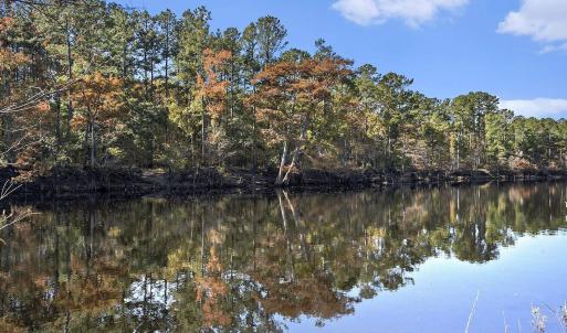 Water view featuring a heavily wooded area