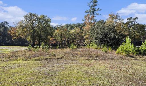 View of undeveloped land