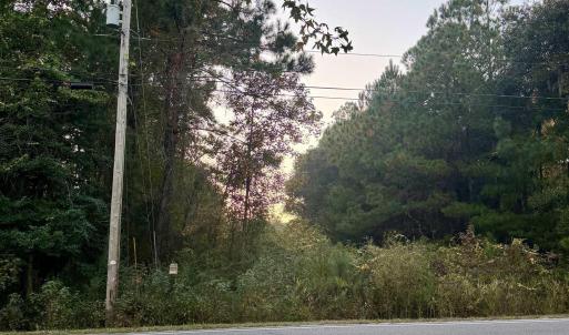 View of asphalt road featuring view of wooded area