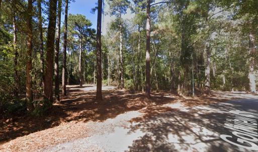 Photo #1 of tbd Golfview Circle, Johnsonville, SC 0.6 acres