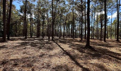 View of undeveloped land