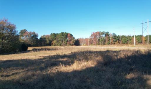 View of local wilderness