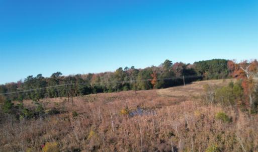 View of woods with a view of countryside