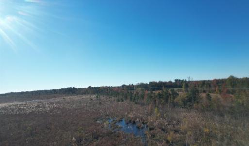 View of undeveloped land