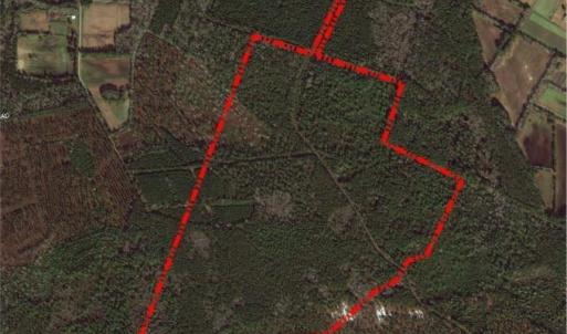Photo #1 of TBD Coates Rd., North Myrtle Beach, SC 181.2 acres