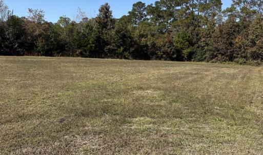 Photo #3 of 118 Quigley Pl, Aynor, SC 0.6 acres