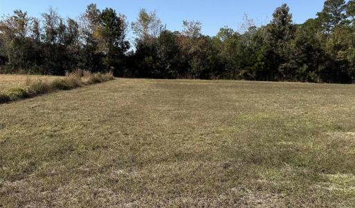 Photo #2 of 118 Quigley Pl, Aynor, SC 0.6 acres