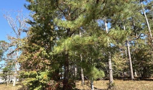Photo #1 of 2405 Gist Ln., Myrtle Beach, SC 0.5 acres