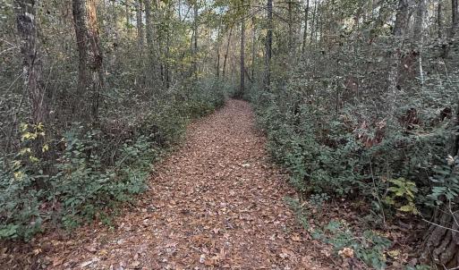 Photo #13 of TBD Salem Rd., Aynor, SC 24.9 acres