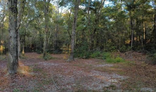 Photo #2 of TBD Salem Rd., Aynor, SC 24.9 acres