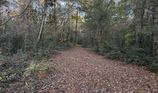 Photo #12 of TBD Salem Rd., Aynor, SC 24.9 acres