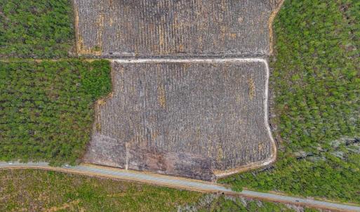 Photo #9 of TBD Joyner Swamp Rd., Galivants Ferry, SC 5.0 acres