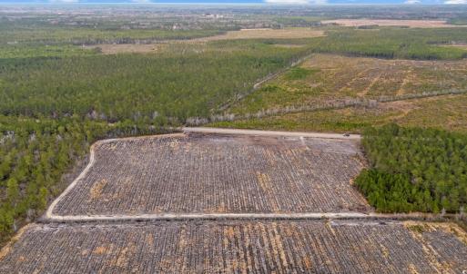 Photo #13 of TBD Joyner Swamp Rd., Galivants Ferry, SC 5.0 acres
