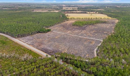 Photo #11 of TBD Joyner Swamp Rd., Galivants Ferry, SC 2.4 acres