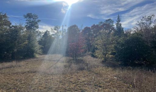 View of undeveloped land