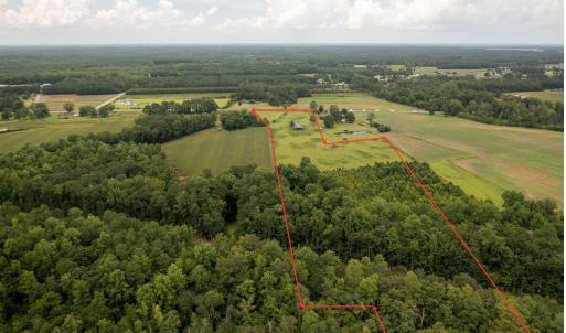 Photo #3 of 1175 Highway 9, Loris, SC 32.0 acres