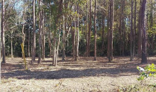Photo #3 of Millers Rd., Mullins, SC 3.1 acres