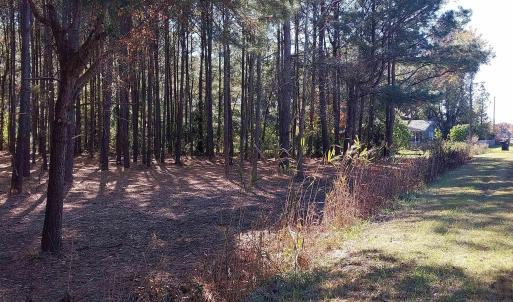 Photo #2 of Millers Rd., Mullins, SC 3.1 acres