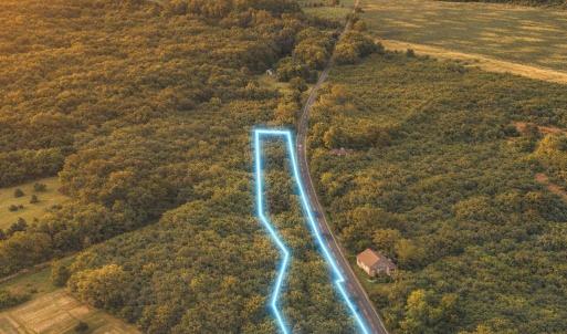 Photo #10 of Millers Rd., Mullins, SC 3.1 acres