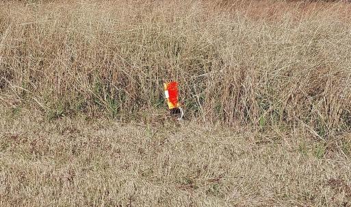 Photo #6 of Millers Rd., Mullins, SC 3.1 acres