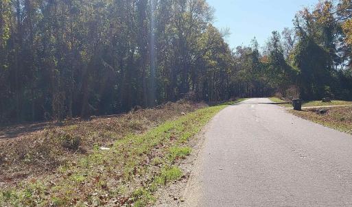 Photo #5 of Millers Rd., Mullins, SC 3.1 acres