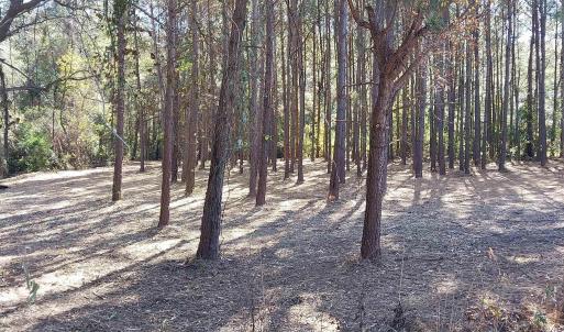 Photo #4 of Millers Rd., Mullins, SC 3.1 acres