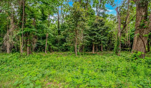 Photo #7 of Millers Rd., Mullins, SC 3.1 acres