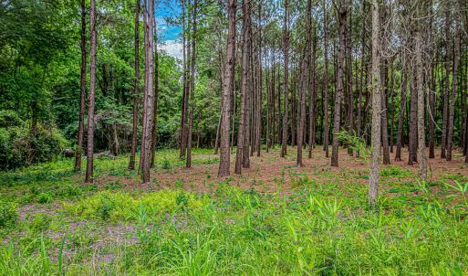 Photo #9 of Millers Rd., Mullins, SC 3.1 acres