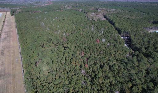 Photo #2 of 7.90 Acres-TBD Puncheon Creek Dr., Andrews, SC 7.9 acres