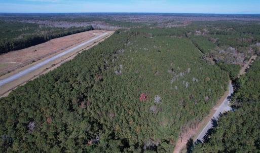 Photo #4 of 7.90 Acres-TBD Puncheon Creek Dr., Andrews, SC 7.9 acres