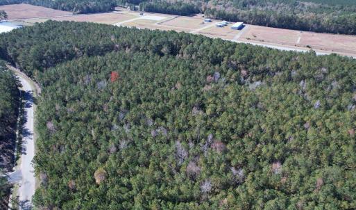 Photo #3 of 7.90 Acres-TBD Puncheon Creek Dr., Andrews, SC 7.9 acres