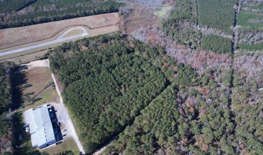 Photo #15 of 793 Puncheon Creek Dr., Andrews, SC 26.1 acres