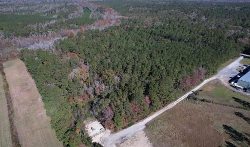 Photo #12 of 793 Puncheon Creek Dr., Andrews, SC 26.1 acres