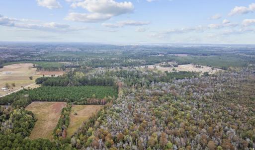 Photo #8 of lots 3-9 Creek Landing Rd, Nichols, SC 25.2 acres