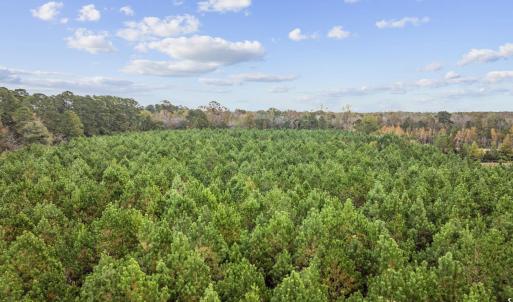 Photo #15 of lots 3-9 Creek Landing Rd, Nichols, SC 25.2 acres