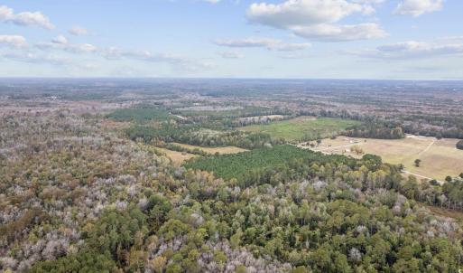 Photo #5 of lots 3-9 Creek Landing Rd, Nichols, SC 25.2 acres