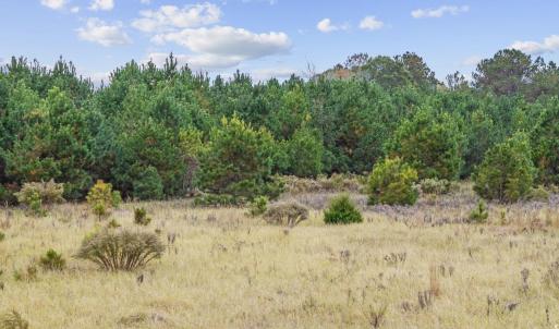 Photo #13 of lots 3-9 Creek Landing Rd, Nichols, SC 25.2 acres