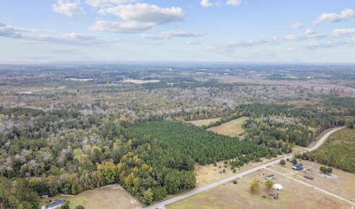Photo #3 of lots 3-9 Creek Landing Rd, Nichols, SC 25.2 acres