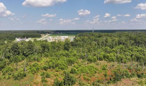Bird's eye view of a heavily wooded area