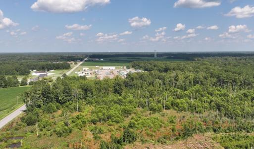 Drone / aerial view of a forest