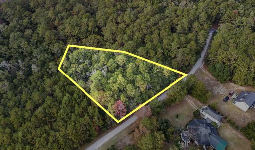 Drone / aerial view of a forest