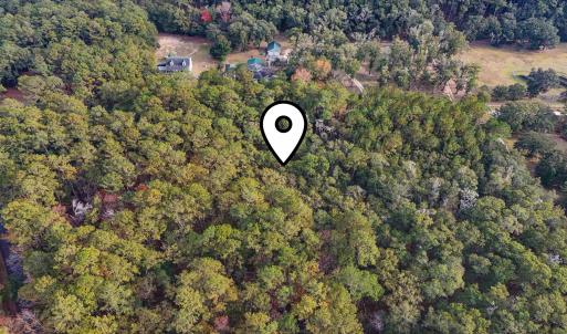 View of property location featuring a forest