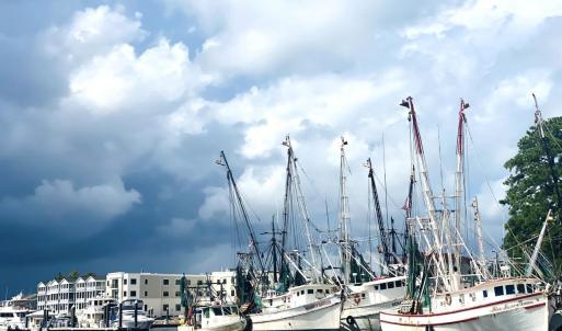 Photo #19 of TBD South Bay St., Georgetown, SC 0.6 acres