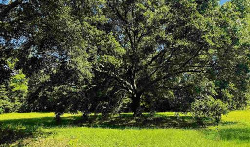 Photo #1 of TBD South Bay St., Georgetown, SC 0.6 acres