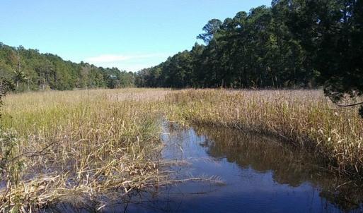 Photo #11 of Slip 41 Friendfield Marina, Georgetown, SC 0.0 acres