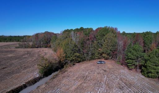 Photo #15 of 53.86 Acres-TBD Pate Rd, Bishopville, SC 53.9 acres