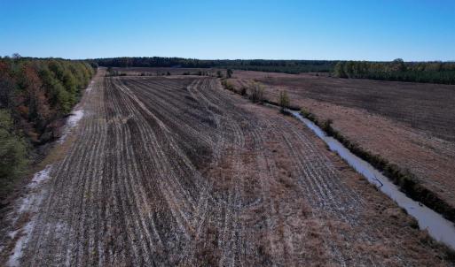 Photo #2 of 53.86 Acres-TBD Pate Rd, Bishopville, SC 53.9 acres
