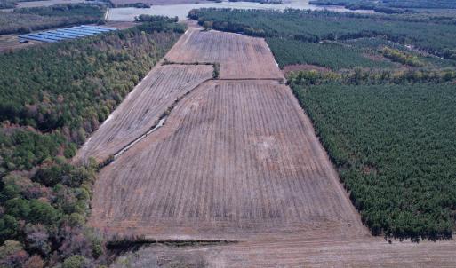 Photo #4 of 53.86 Acres-TBD Pate Rd, Bishopville, SC 53.9 acres
