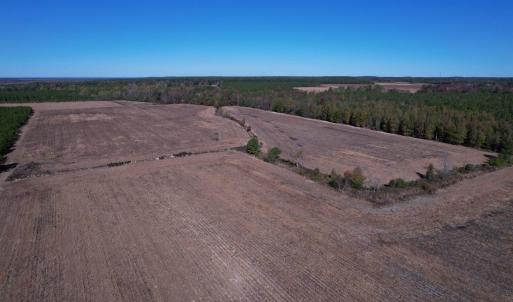 Photo #7 of 53.86 Acres-TBD Pate Rd, Bishopville, SC 53.9 acres