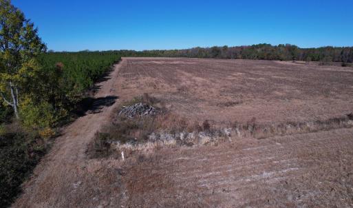 Photo #12 of 53.86 Acres-TBD Pate Rd, Bishopville, SC 53.9 acres